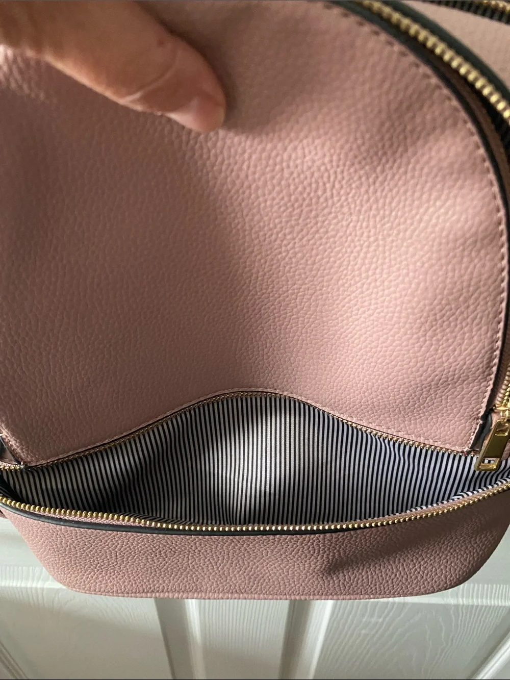 Blush Pink Mini Backpack with Gold Hardware and Striped Lining.